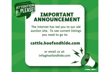 Go to Our New Auction Website at: cattle.hoofandhide.com or click link in description below
